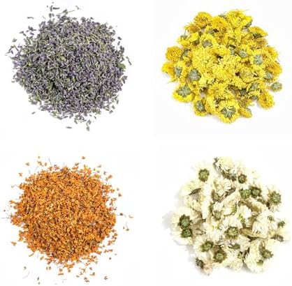 Dried Flower and Fruit Kit for DIY Crafts