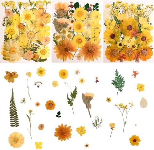 100 PCS Yellow Pressed Dried Flowers and Leaves with Tweezers | Natural, For Resin, For Candle, For Jewelry, For Scrapbooking & DIY Crafts