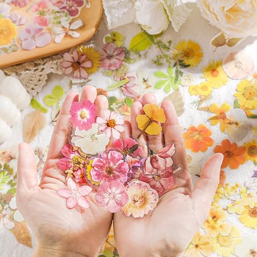 Maxleaf 270PCS Dried Pressed Flower Stickers Set for Scrapbook Supplies