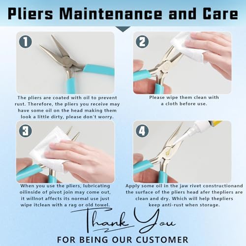 Needle Nose Pliers, 1 Pack Mini Pliers for Jewelry Making