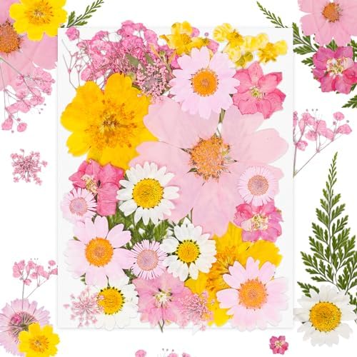 30Pcs Dried Pressed Flowers Bulk Dried Flowers for Crafts, Dry Flowers for Resin Molds DIY Scrapbooking Candle Jewellery Making (Pink)