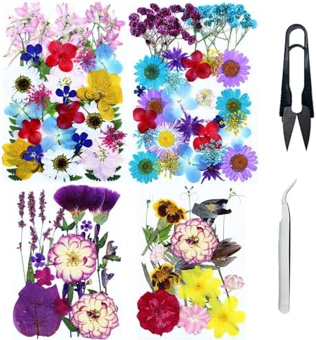 Cayway 4 Pack Pressed Flowers Natural Dried Flowers Colorful Resin Flowers Real Pressed Flowers for Resin Scrapbook DIY Art Crafts, Epoxy Resin Jewelry, Card Making Supplies, Style H