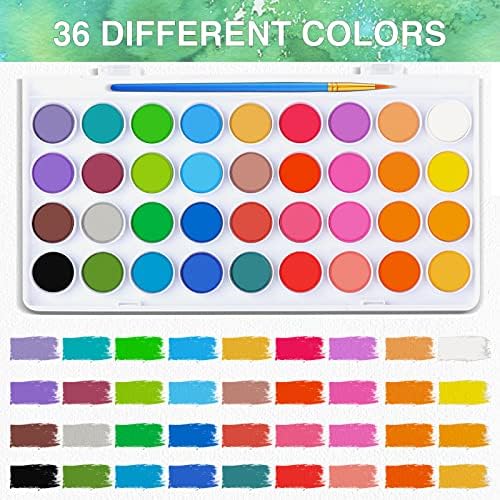 AROIC 65 Pieces Watercolor Paint Set for Adults Artists, Beginners