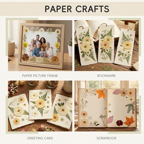 LUXEEASE 100P Vintage Cream Brown Dried Pressed Flowers | Earthy warm palette, maple, silver greenery, curly twigs, for resin jewelry scrapbook wedding frame candle, tweezers included