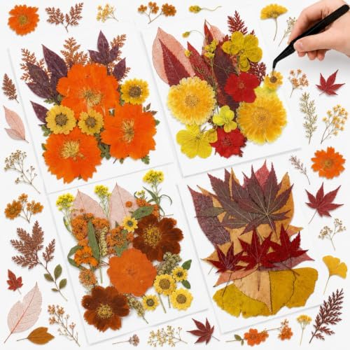 Nuanchu Fall Natural Dried Flowers Pressed for Crafts Resin Molds DIY Suppy