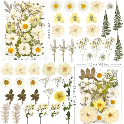 MIKIYA 90Pcs White Dried Pressed Flowers for Resin Molds, Real Natural Bulk Dry Floral Leaves for DIY Art Crafts, Epoxy Jewelry, Candle, Soap Making, Nails Decors Gifts