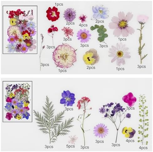 Cayway 170 PCS Real Nature Dried Pressed Flower Leaves, Pressed Flowers for Resin, Real Nature Pressing Floral Leaves for DIY Craft, Candle Scrapbooking Supplies, Purple