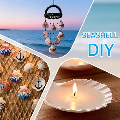 30PCS Large Natural Scallop Shells for Crafts, 4-5 in White Sea Shells, DIY