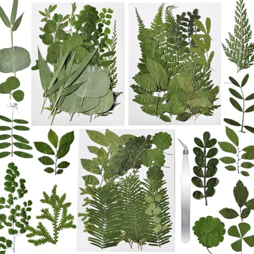 63 Pcs Dried Flowers for Resin 21 Styles Pressed Leaves