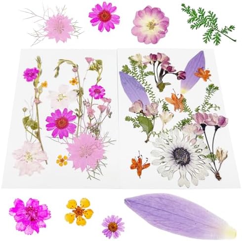 Cayway 4 Pack Pressed Flowers Natural Dried Flowers Colorful Resin Flowers Real Pressed Flowers for Resin Scrapbook DIY Art Crafts, Epoxy Resin Jewelry, Card Making Supplies, Style G