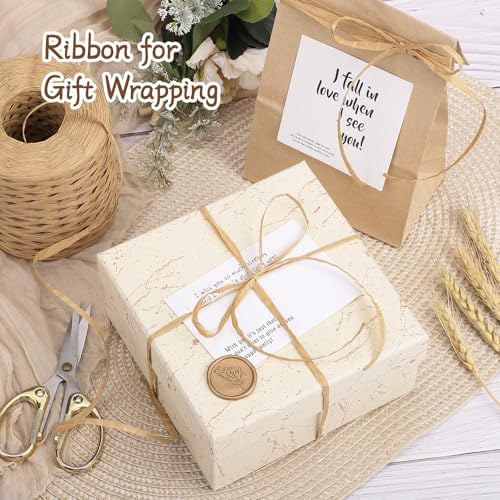 woric Raffia Ribbon 262 Yards (787 Feet) Raffia Yarn Craft Ribbon