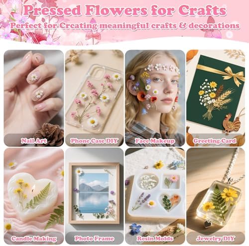 630 Pcs Real Dried Pressed Flowers & Butterfly Stickers for Resin Crafts