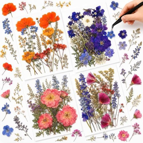 Nuanchu Real Dried Pressed Flowers for Craft Resin Molds, Cottage Garden