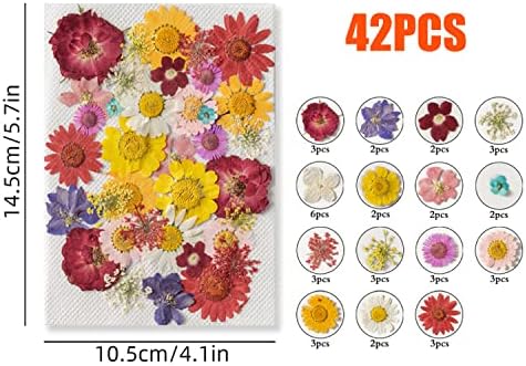 Cayway 42 Pcs Real Pressed Flowers Dry with Tweezers Set, Dried Pressed Flowers Colorful Real Pressed Flowers for Resin Scrapbooking DIY Art Crafts, Epoxy Resin Jewelry, Soap Making