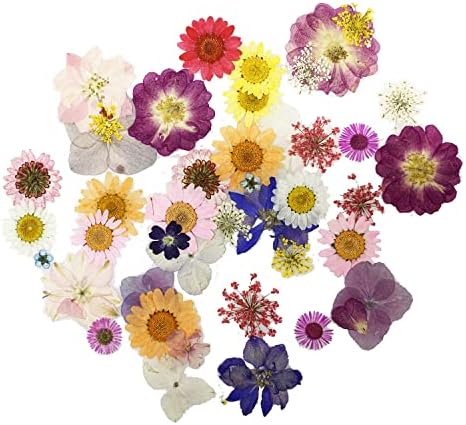 Cayway 42 Pcs Real Pressed Flowers Dry with Tweezers Set, Dried Pressed Flowers Colorful Real Pressed Flowers for Resin Scrapbooking DIY Art Crafts, Epoxy Resin Jewelry, Soap Making