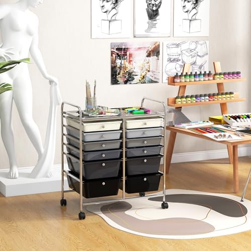 LDAILY 12 Drawer Rolling Storage Cart, Craft Cart Organizer on Wheels w/Metal Frame, Large Capacity & Smooth Drawer, Rolling Cart w/Drawers for Classroom, Office