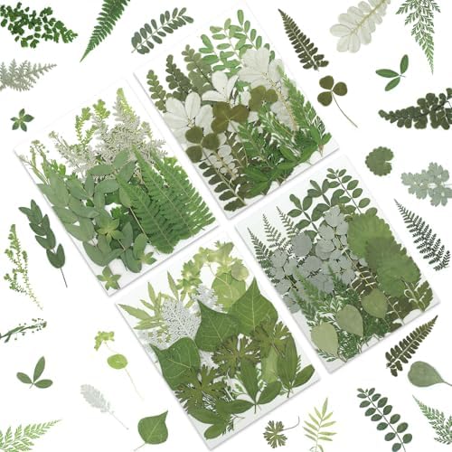 LUXEEASE 84P Dried Pressed Leaves, Earthy Green | Fern eucalyptus leaves, varied leaf shapes, wild forest texture, for resin scrapbook botanical decor, tweezers included