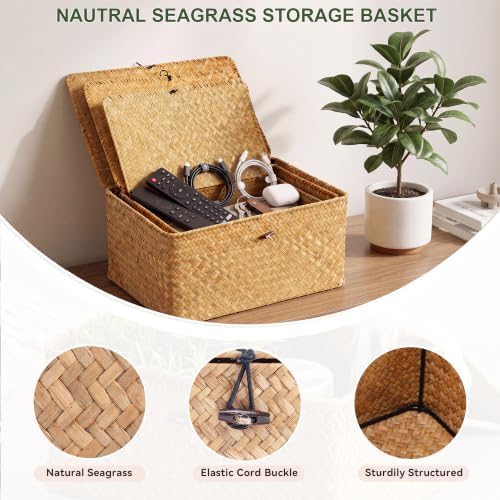 Nonam Large Wicker Basket with Lid,Seagrass Shelf Basket Set of 3,Nautral