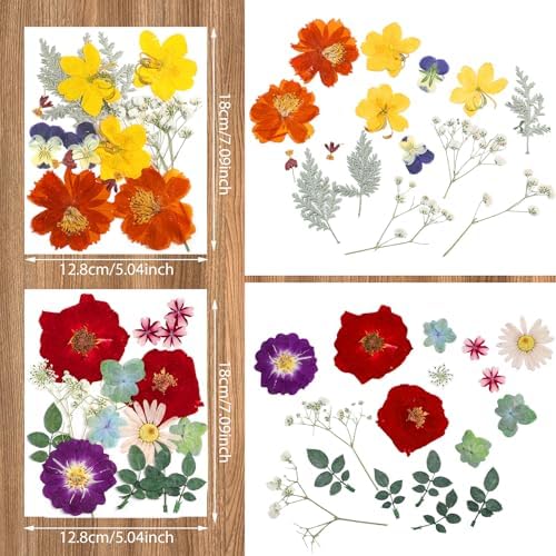 Nuanchu Real Dried Pressed Flowers Wildflowers for Resin Mold Craft DIY