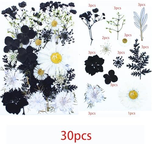 Cayway 2 Pack Dried Pressed Flowers for Resin Molds, Black Real Pressed Flowers Dry Leaves Kit Natural Dried Pressed Leaves for Art Crafts Resin Scrapbook Supplies Soap Candle DIY, Style A