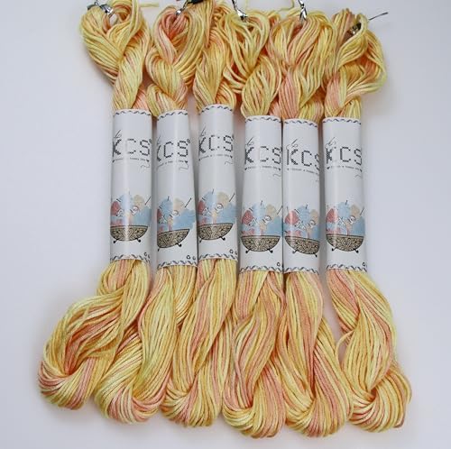 KCS Big skeins of 25 Meters Size 25 Color Variegated Cross Stitch Stranded Threads,6 skeins,4090