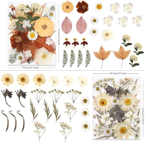 LUXEEASE 100P Vintage Cream Brown Dried Pressed Flowers | Earthy warm palette, maple, silver greenery, curly twigs, for resin jewelry scrapbook wedding frame candle, tweezers included