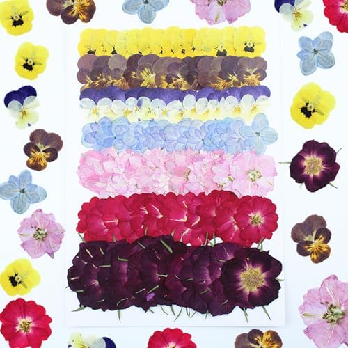 49 Pcs Dried Pressed Flowers for Crafts Art Resin DIY Natural Dry Pansy Rose Hydrangea Floral Epoxy Jewelry Real Flower Plants Decor Cakes Phone Cases Bookmarks Candles Handmade Soap
