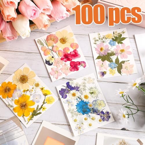 Nuanchu Real Dried Pressed Flowers for Craft Resin Mold DIY, Cottagecore