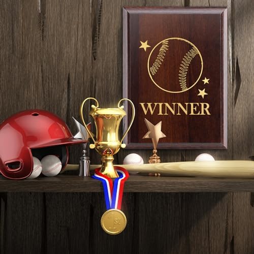 DIY Blank Wooden Award Plaques