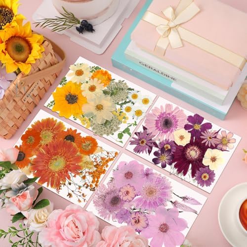 Nuanchu Dried Flowers Pressed for Crafts Resin Molds DIY, Large Sunflower