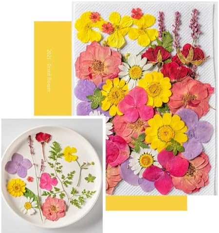 2Pcs Silicone Grape Soaps Mold Dried Pressed Flowers Soap Making Kit Exquisite Mold for Handmade Soap Making Gift (Without Soaps)