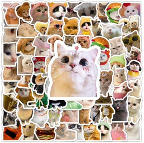 DothRayan Cat Stickers, 100 Pcs Fun Cat Waterproof Stickers, Vinyl Stickers for Water Bottle, Laptop, Phone Stickers for Kids Teens Girls Adults
