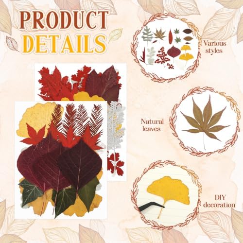 Timtin 84 Pcs Dried Pressed Leaves Flowers for Resin, Fresh