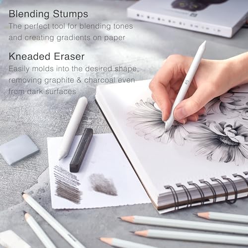 ARTISTIC EYE Premium Drawing and Sketching Pencil Art Set (20 Items): Complete Kit with Graphite Pencils, Charcoal Pencils, Sticks, Blending Stumps, Erasers, and Sharpeners