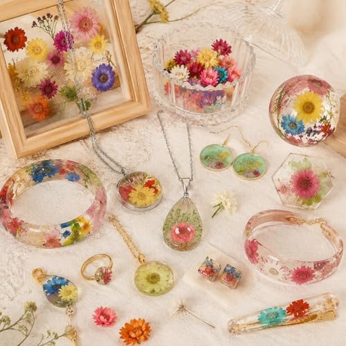 300 Pcs Mini Dried Flowers for Resin, Small Dried Flowers for Crafts
