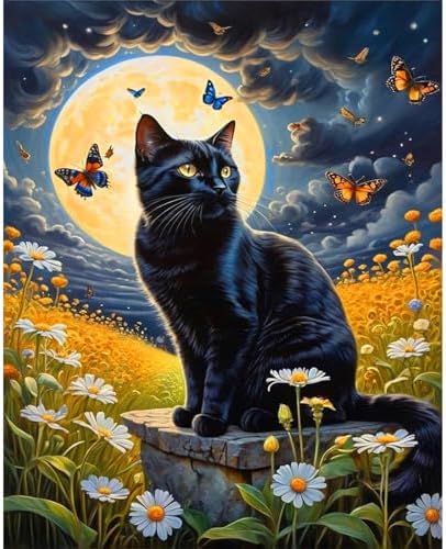 Black Cat Paint by Numbers for Adults - Cat Paint by Number on Canvas
