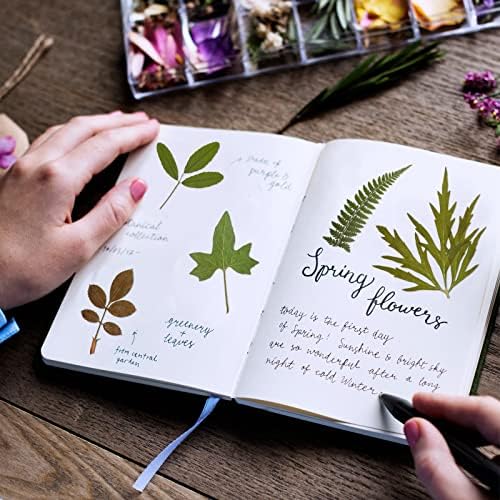 Timtin 84 Pcs Dried Pressed Leaves Flowers for Resin, Classic
