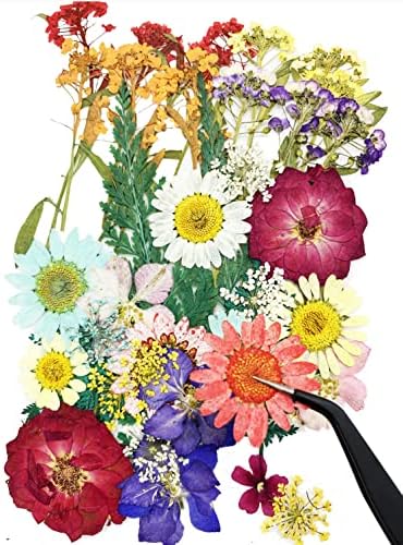Cayway 40 Pcs Real Pressed Flowers Dry With Tweezers Set, Colorful Dried Flowers for Resin Scrapbooking, DIY Art Crafts, Epoxy Resin Jewelry, Soap Making