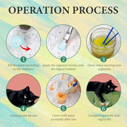 4 Pack Paint by Numbers Kit for Adults with Frame, Black Cat Painting Kit