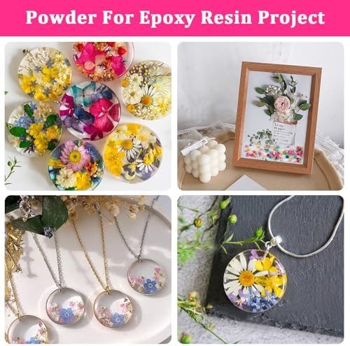 300 Pcs Mini Dried Flowers for Resin, Small Dried Flowers for Crafts