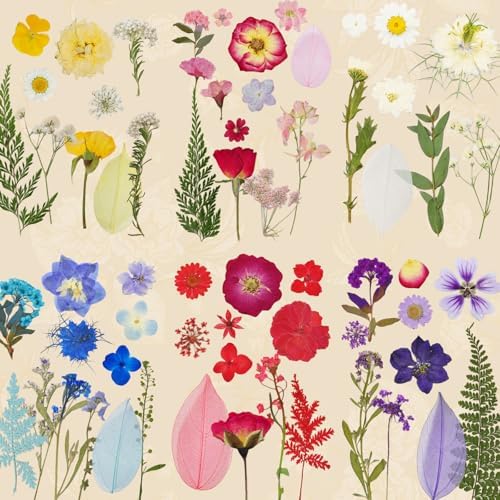 150 Pcs Dried Pressed Flowers for Resin