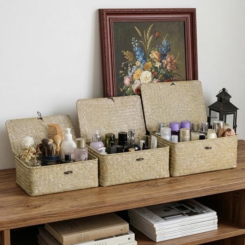 Nonam Wicker Storage Basket with Lid, Seagrass Shelf Basket Set of 2, White