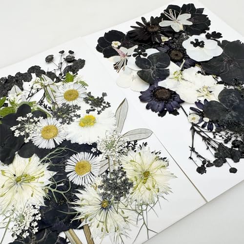 Cayway 2 Pack Dried Pressed Flowers for Resin Molds, Black Real Pressed Flowers Dry Leaves Kit Natural Dried Pressed Leaves for Art Crafts Resin Scrapbook Supplies Soap Candle DIY, Style A
