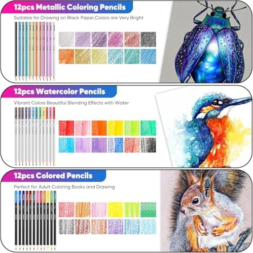 Taotree 81 Pack Art Supplies for Adults, Pro Art Kit Drawing Pencils Set
