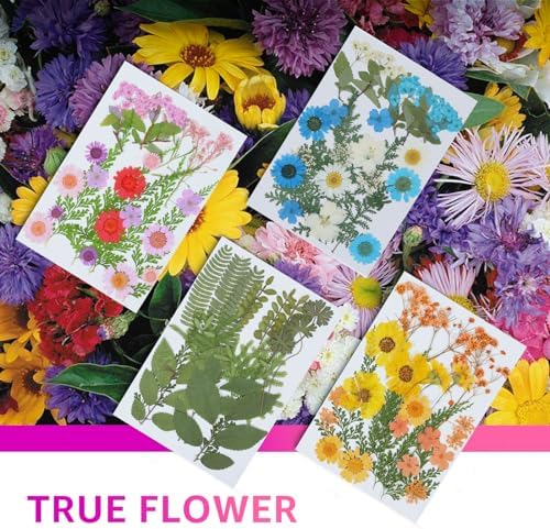 96Pcs Dried Pressed Flowers for Resin, Bulk Natural Dried Flowers,for Scrapbooking DIY Art Crafts Resin Accessories, Soap,Candle Making Nails Decor. Epoxy Resin Jewelry Molds.Craft Making