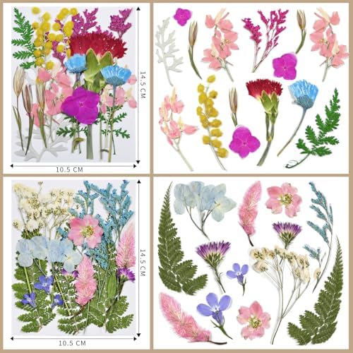 Dried Flowers 72pcs Natural Pressed Flowers and Leaves