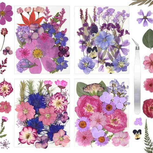 Dried Flowers for Resin Vacuum Packed DIY Pressed Flowers