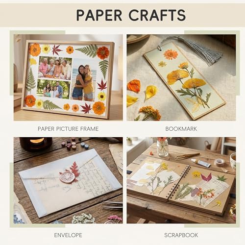 LUXEEASE 100P Vibrant Colors Large Dried Pressed Flowers | Gerbera daisy, real natural flowers, pink burgundy orange blue, for resin scrapbook jewelry frame decor, tweezers included