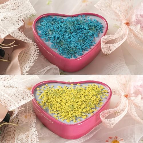 60 Pcs Dried Pressed Flowers for Resin DIY Art Crafts Natural Dry Floral Epoxy Jewelry Real Lace Flower Decor Cakes Phone Cases Candles Handmade Soap Mix Lace Flower
