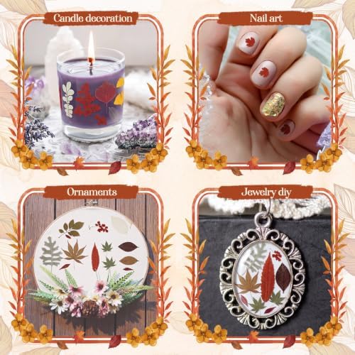 Timtin 84 Pcs Dried Pressed Leaves Flowers for Resin, Fresh
